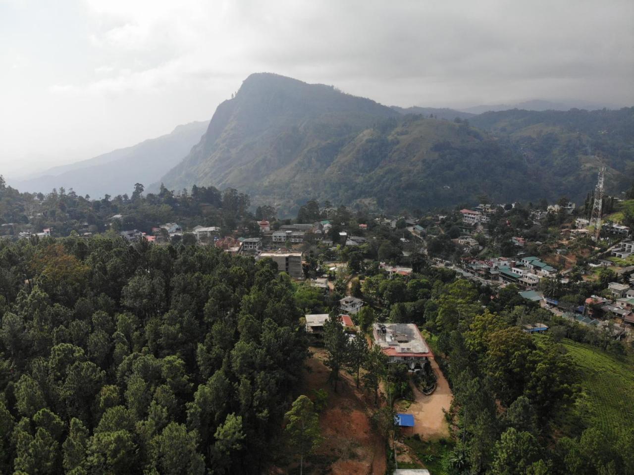 Forest Paddy Homestay Ella Exterior foto